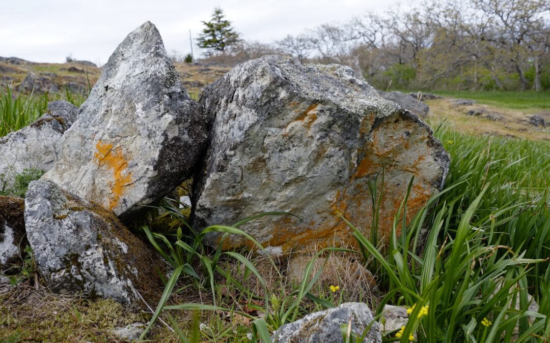 Studio Journal 24-04-09 – Rock Collecting